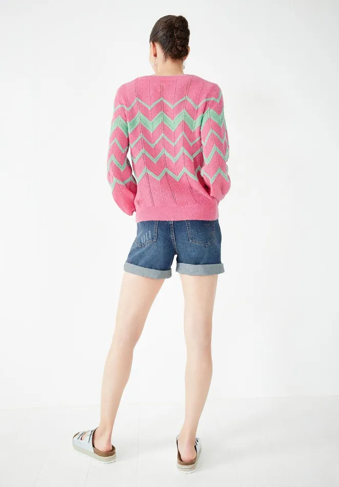 Jumpers and Cardigans Women Hush Harley Chevron Jumper Pinkgreen