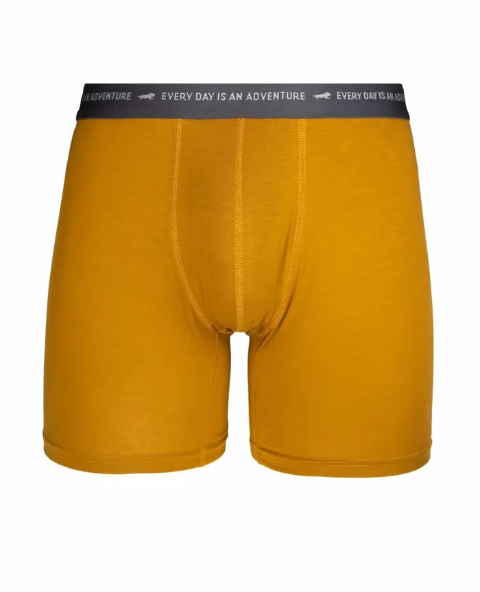 ToadandCo Underwear and Accessories Men039s Boxer Brief Cardamom 8211 Men039s