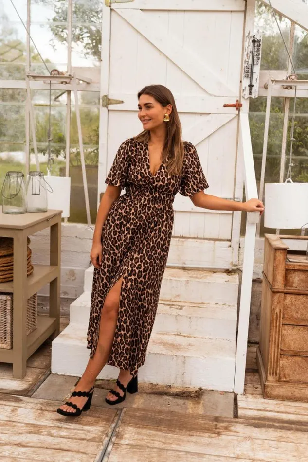 Women039s Clothing Dresses Easy Clothes Leopard Isidore Dress Women039s Clothing Dresses Easy Clothes Leopard Isidore Dress