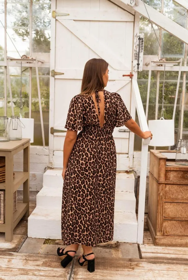 Women039s Clothing Dresses Easy Clothes Leopard Isidore Dress Women039s Clothing Dresses Easy Clothes Leopard Isidore Dress