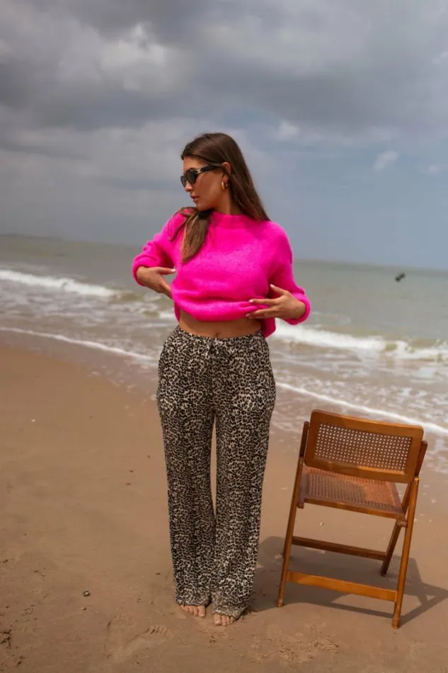 Women039s Clothing Pants and Jeans Easy Clothes Leopard Clarou Pants Women039s Clothing Pants and Jeans Easy Clothes Leopard Clarou Pants