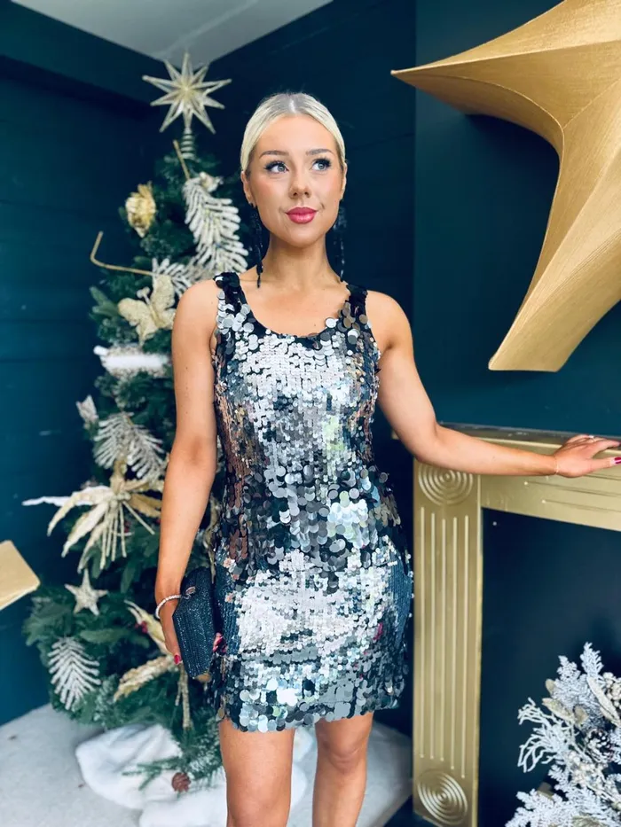 Women Day Dress Canella Lane Abi Large Sequin Detail Mini Dress Silver