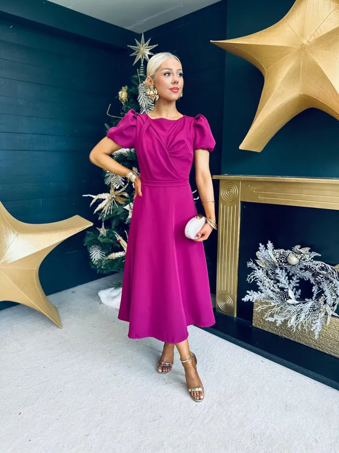 Women Evening Dress Canella Lane Diana Detailed Occasion Dress Berry