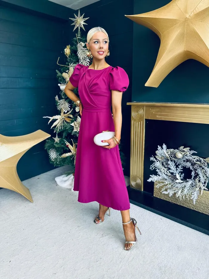 Women Evening Dress Canella Lane Diana Detailed Occasion Dress Berry