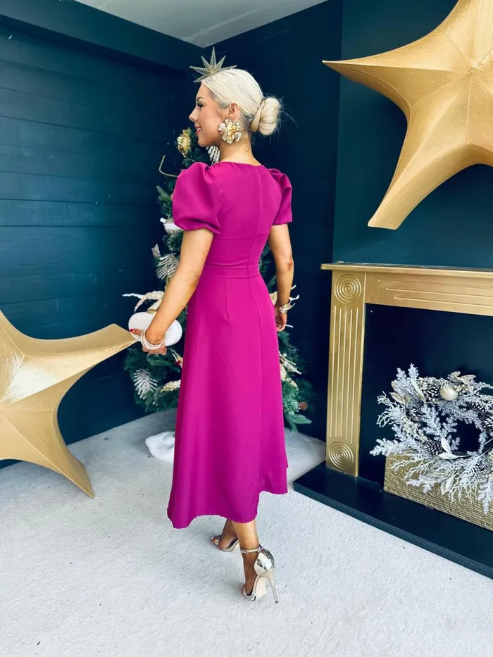 Women Evening Dress Canella Lane Diana Detailed Occasion Dress Berry