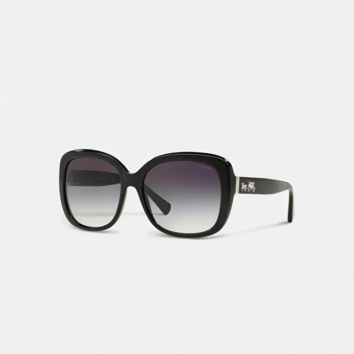 Women Horse And Carriage Square Sunglasses Black Coach Eyewear