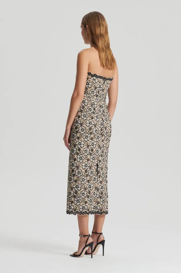 Women Scanlan Theodore Dresses EMBROIDERED FLORAL DRESS Blackcream Women Scanlan Theodore Dresses EMBROIDERED FLORAL DRESS Blackcream