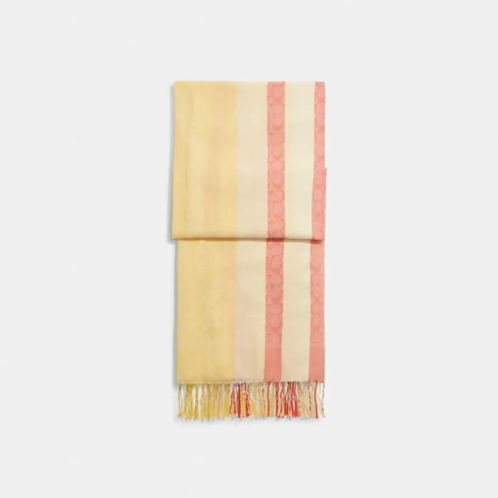 Women Signature Striped Pareo Haysun Orange Coach Hats Scarves and Gloves