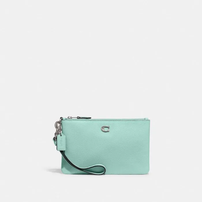 Women Small Wristlet Silverfaded Blue Coach Wristlets