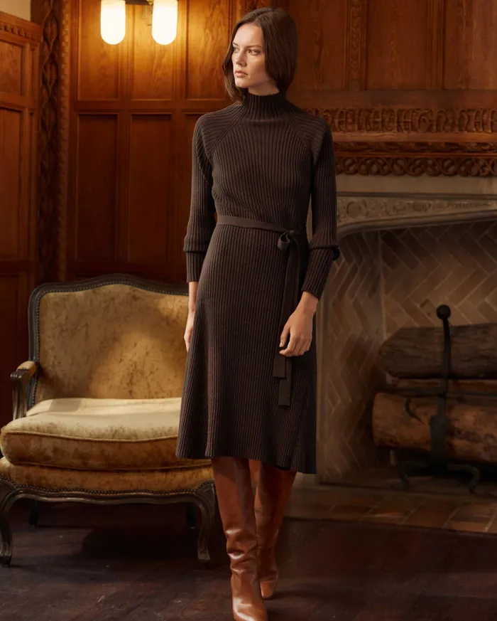 Women Turtleneck Sweater Dress Coffee Bean Billy Reid Dresses