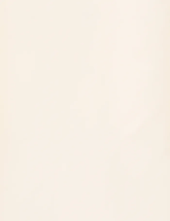 Women Zimmermann Clothing Blouson Shirt Cream
