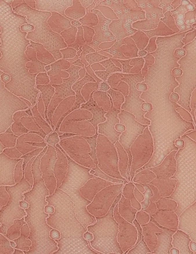 Women Zimmermann Clothing Lace Bodysuit Blush
